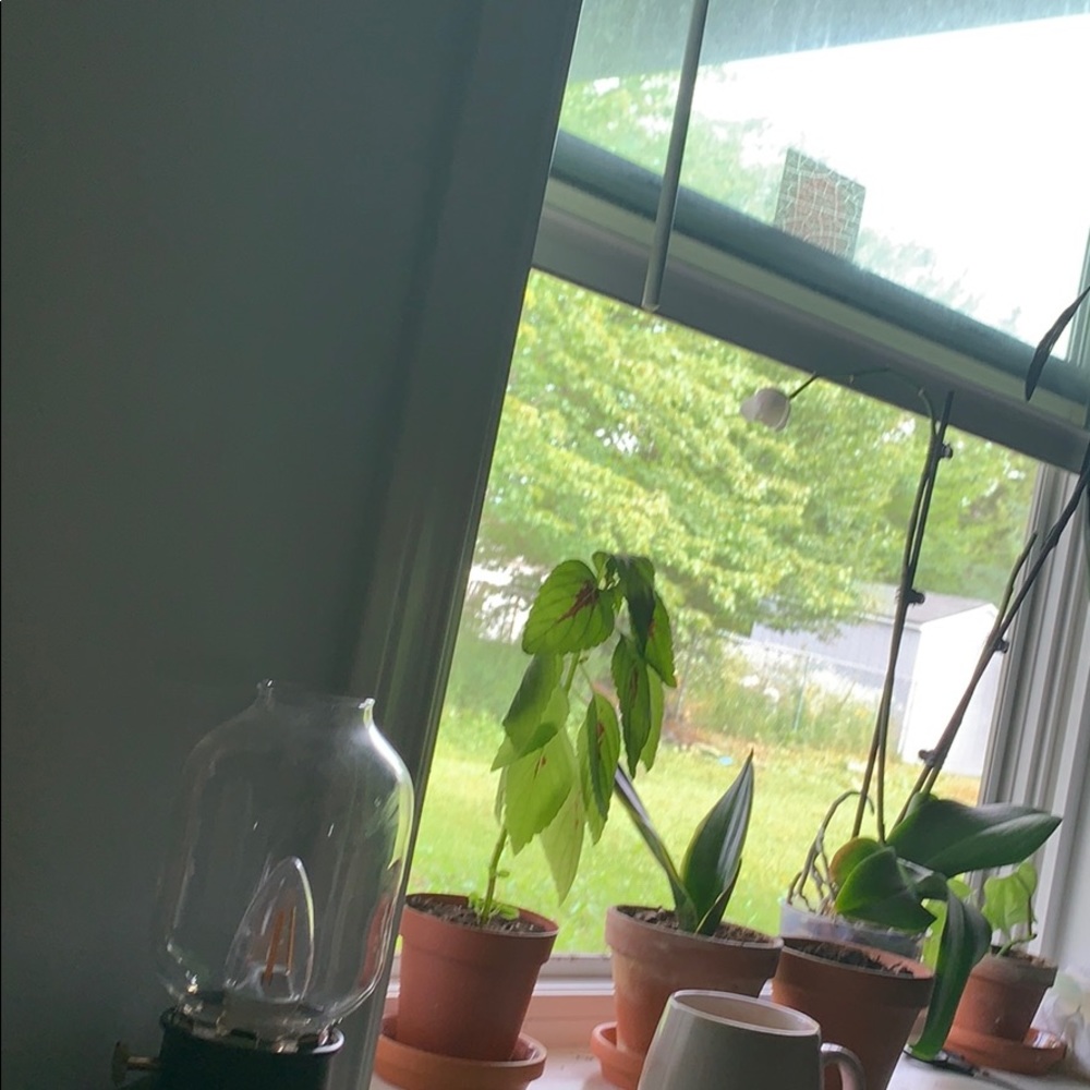 Meet your Posher, Ariana